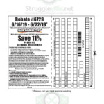 Home Depot 11 Rebate 2022 Dates