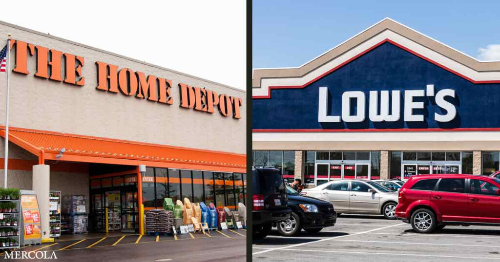 Home Depot Roundup Rebate 2024