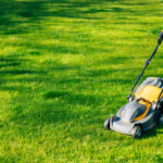 Honda Mower Rebate Home Depot